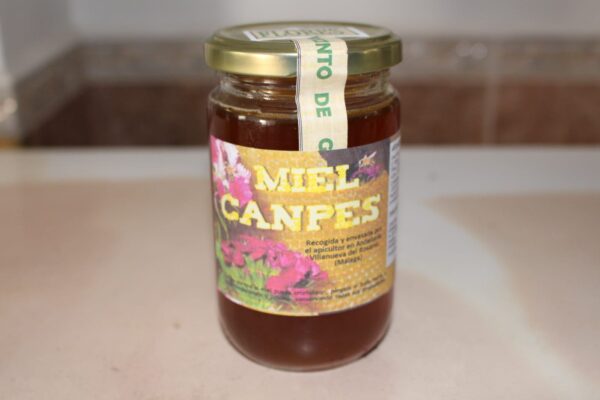 Miel de abeja 500 g